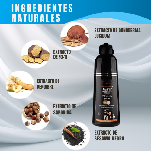 SHAMPOO CUBRE CANAS INSTANTANEO 400ml