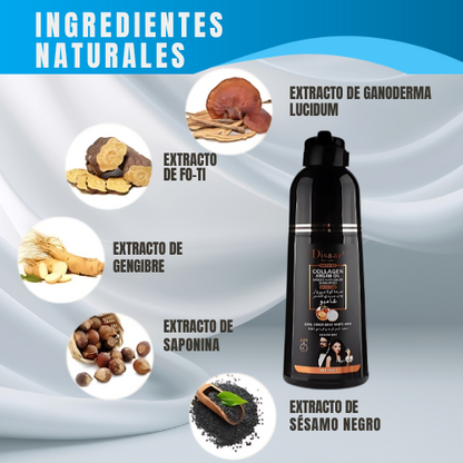 SHAMPOO ÁRABE "DISAAR" CUBRE TUS CANAS 400ml
